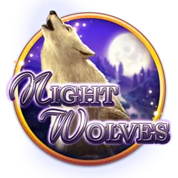 111win ddd 73 cassino entretenimento